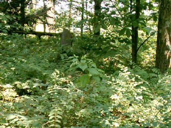 2_harris_cemetery_sm.jpg (40079 bytes)
