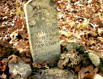 a_taylor1_sm.jpg (55727 bytes)