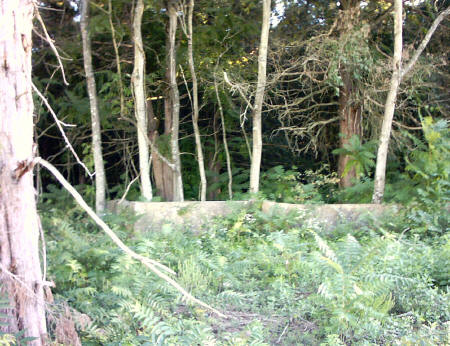 bressie_cem4.JPG (56937 bytes)