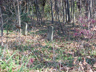 clay_cem2.jpg (55503 bytes)