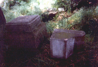 haile_cem2.jpg (25509 bytes)