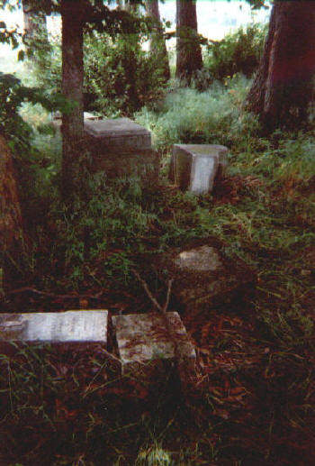 haile_cem3.jpg (43558 bytes)