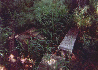 haile_cem4.jpg (28467 bytes)