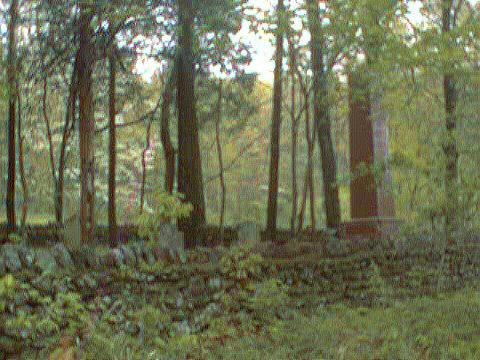 shaner_cem.jpg (55272 bytes)
