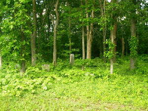 view1_delassue_cemetery_may2005sm.jpg (29330 bytes)