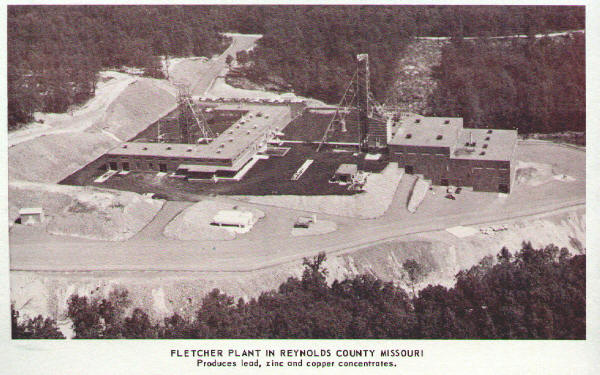 fletcher_plant.jpg (58996 bytes)